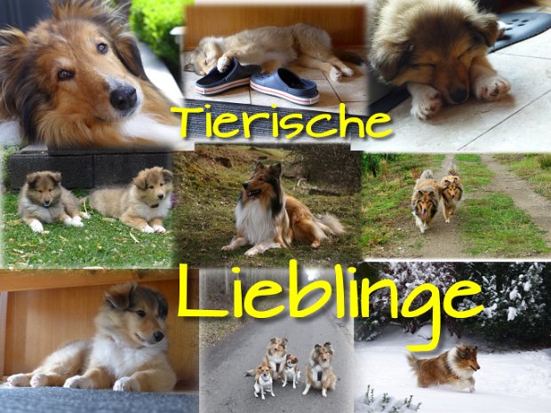 Tierische Lieblinge